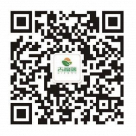 微信公众号